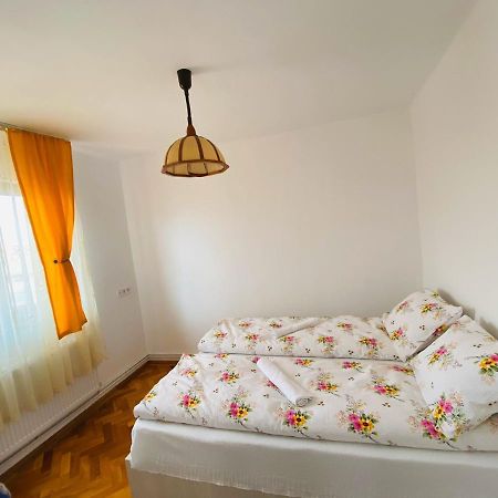 Andrei'S House Apartamento Sibiu Exterior foto